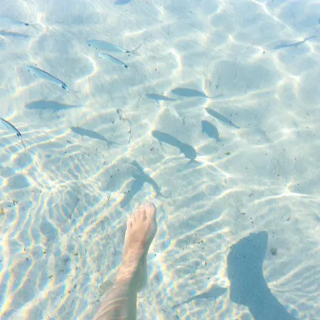 住宿加早餐酒店 A Casa Di Alice